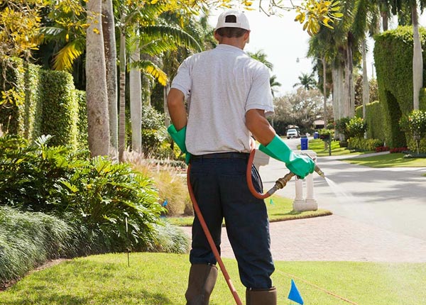 About Miller SD Pest Control